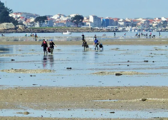 A Casa Da Panadeira *